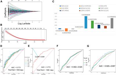 One Ferroptosis-Related Gene-Pair Signature Serves as an Original Prognostic Biomarker in Lung Adenocarcinoma